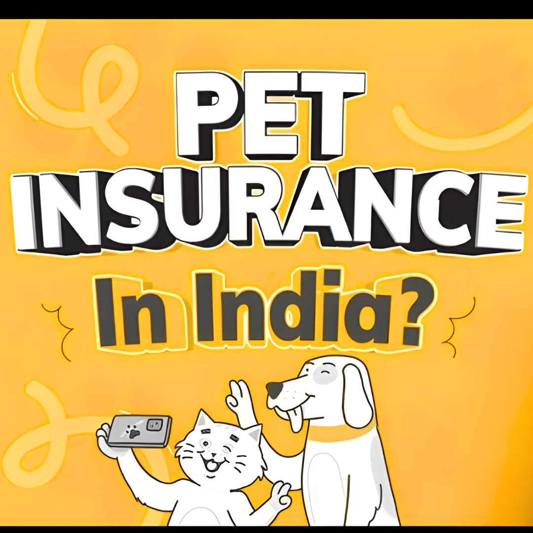 Pet Insurance